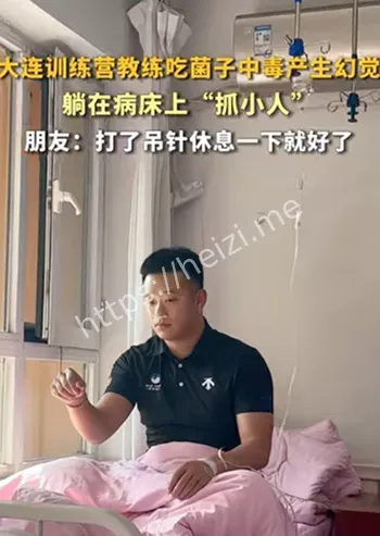 网红流量