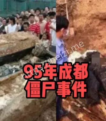 黑子网爆料
