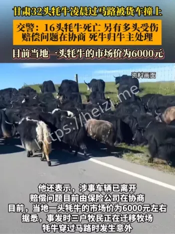 牦牛事故