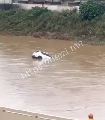 女司机操作失误