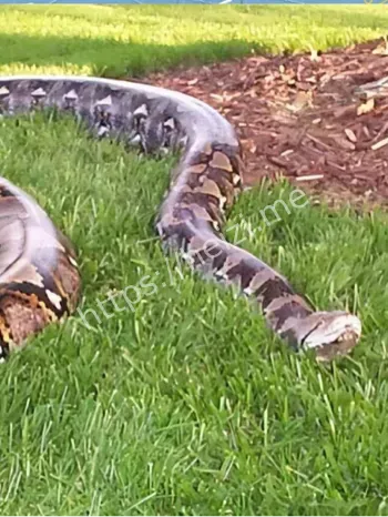 北京西单动物园