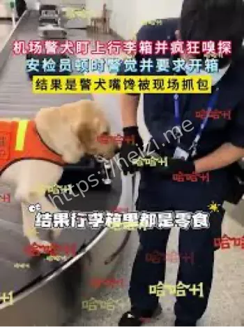 警犬乌龙事件