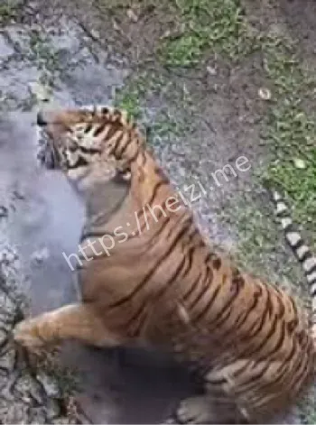 青海西宁野生动物园