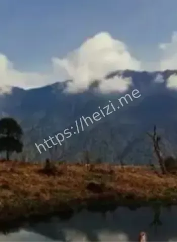 科考队全体失联