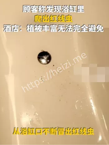 浴缸红线虫