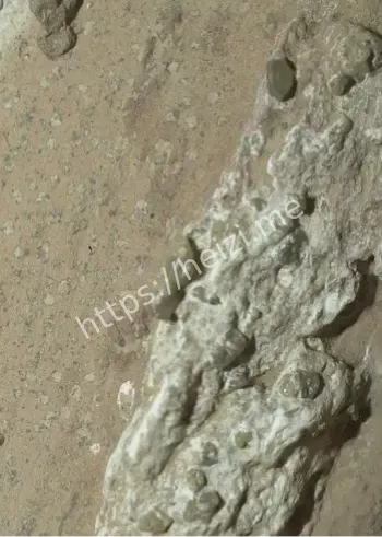 火星古生命证据