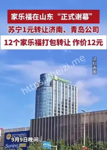 12家子公司出表