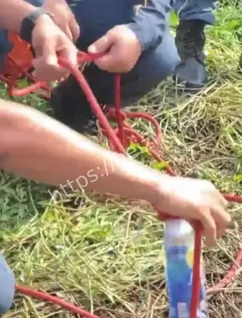 蛇咬伤与体力管理