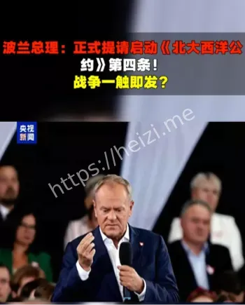 北约第4条含义解析