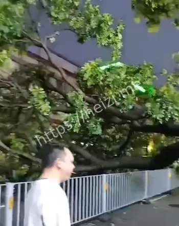 汛期强对流避险