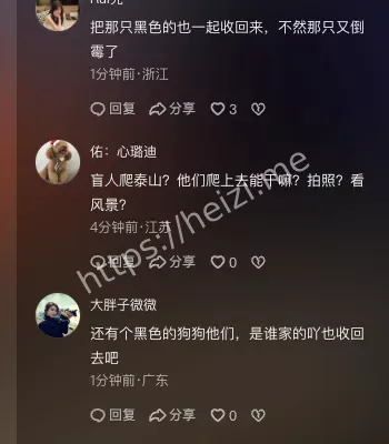 泰山夜爬导盲犬权益争议