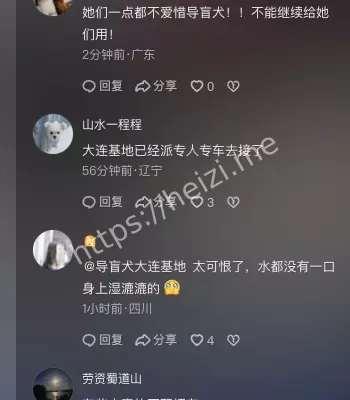 盲人夫妻励志视频反思