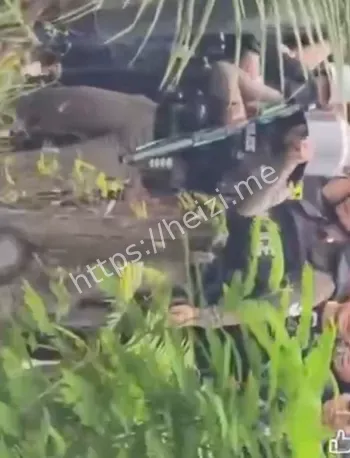 停火执行与地雷指控