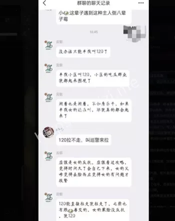 宠物养护边界模糊