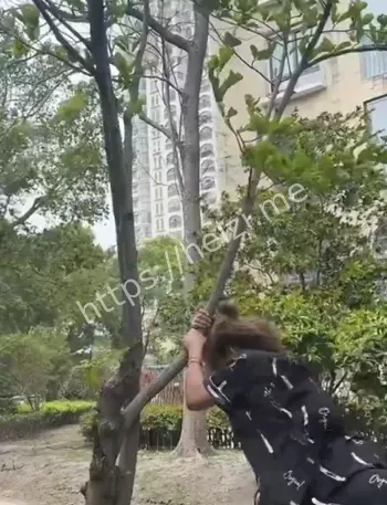 暴雨大风防御措施