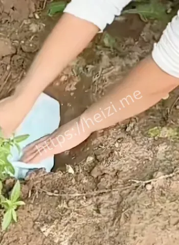 6岁男孩连续摔死奶猫