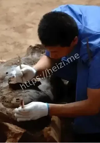 陕西农民20年骂名始末