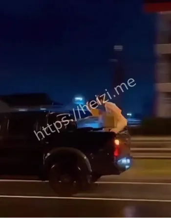 俄罗斯博主皮卡车性丑闻