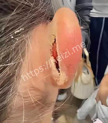 武汉小春堇国际保育园