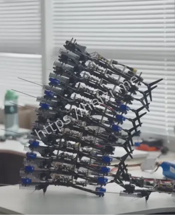 市长宣布免费驾驶天赋测试