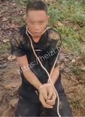 明家烧杀掳掠图片