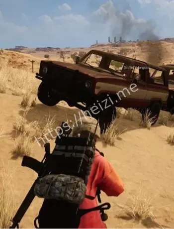 巴基斯坦枪支管控