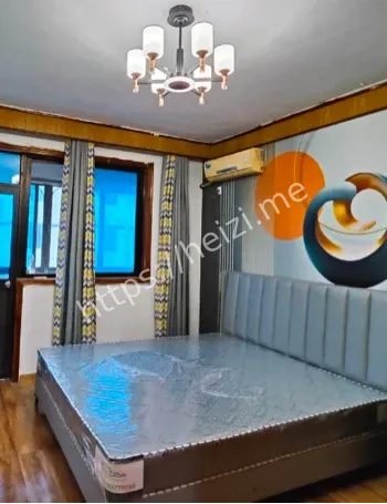 老槐树灵异传闻