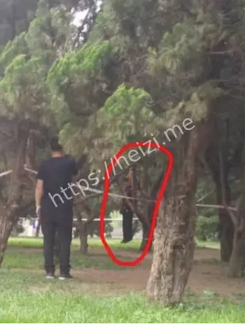 全网热议灵异阴谋