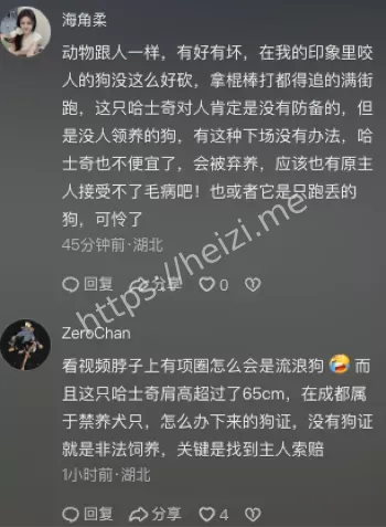 龙泉驿区厨卫店狗伤人