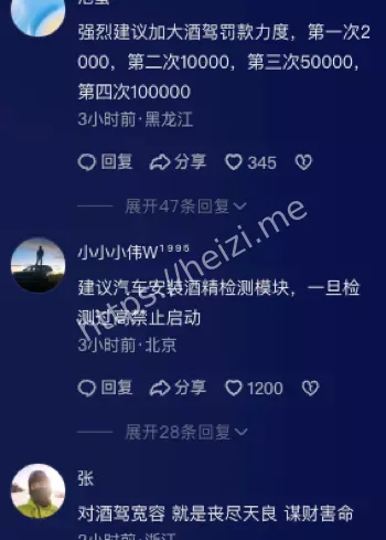 山东聊城杜某超酒驾事故