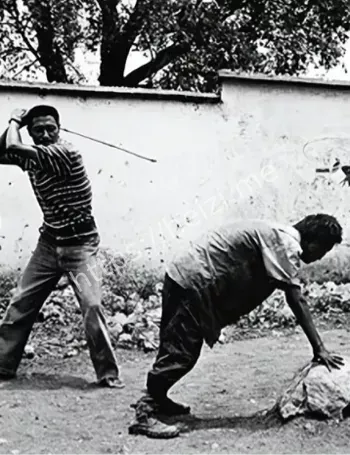 果敢武装保护伞曝光