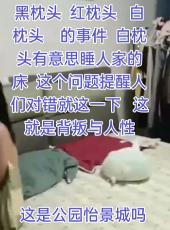 怡景城小区丈母娘痛斥小三