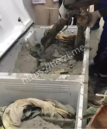 学术圈道德崩坏秦伟案分析