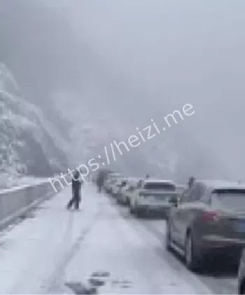 丽江景区拥堵三分钟真相