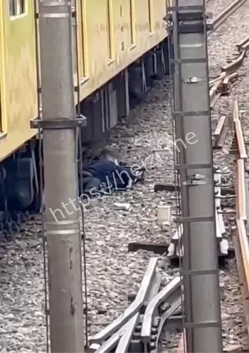 新宿线列车延误原因分析