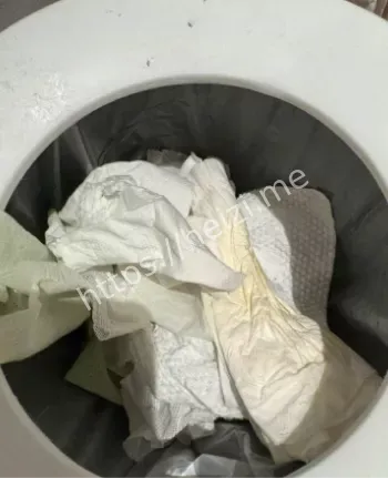 杭州赵某凤卖淫翻车