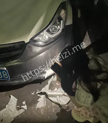 肇事狗趁机跑路