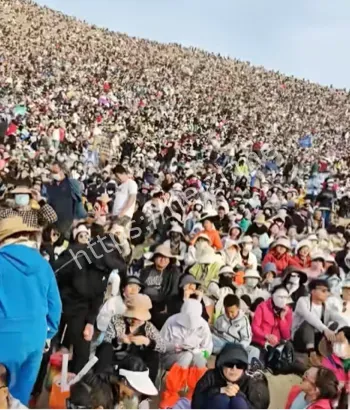床上睡觉不香人山人海吐槽