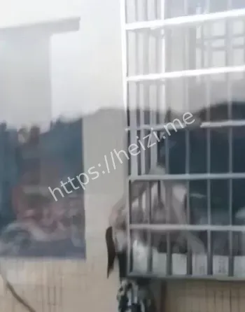 邻里合力见义勇为奖