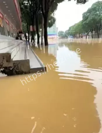 农民洪水损失惨重