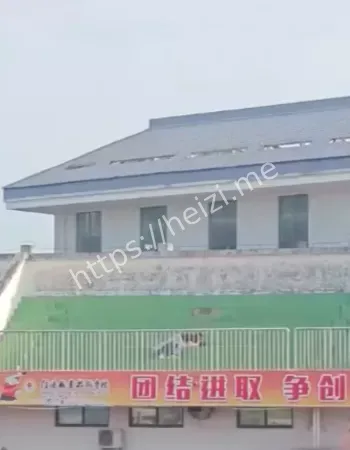 职高不大创造神话