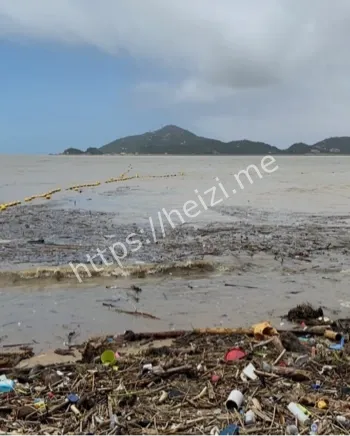 黑沙海滩水下黑影视频