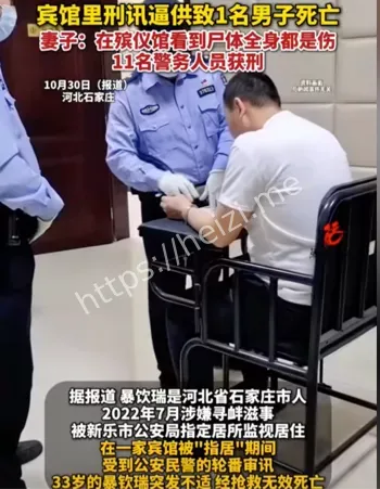 石家庄逼供致死案详情