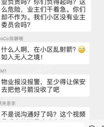 弓箭手射杀流浪猫