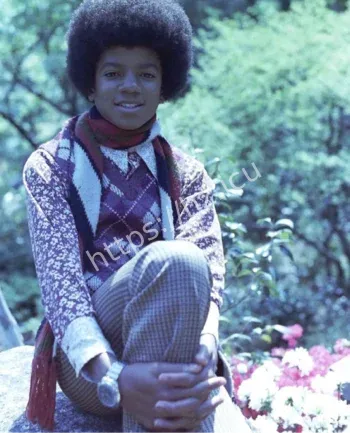 遗产争议家族态度