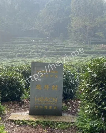 昆明东川失踪事件