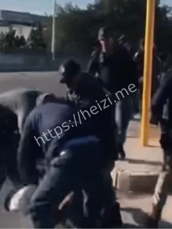 同胞主谋半年设局