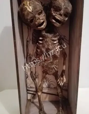 被吊死后鬼魂附树