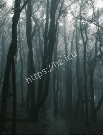 哀牢山诡异传闻辟谣