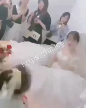 吴敏小白龙聊天记录